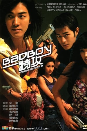 Bad Boy (Bad boy dak gung) คู่เลว (2000) HDTV