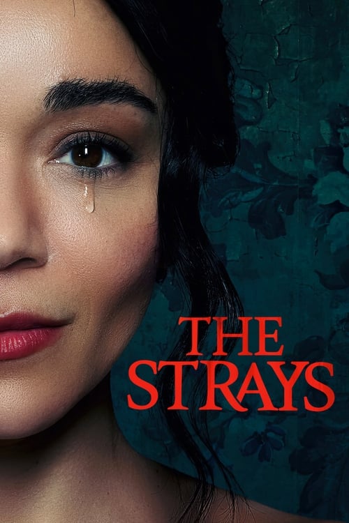 The Strays คนหลงทาง (2023) NETFLIX