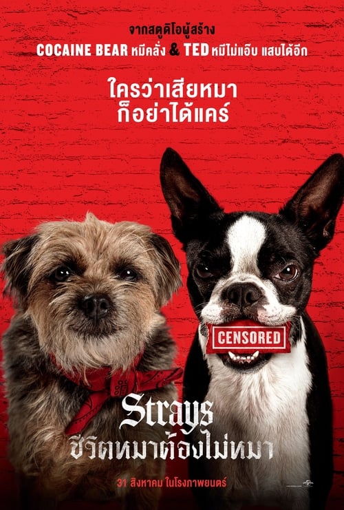 Strays ชีวิตหมาต้องไม่หมา (2023) บรรยายไทย